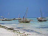 Fishermen at the beach